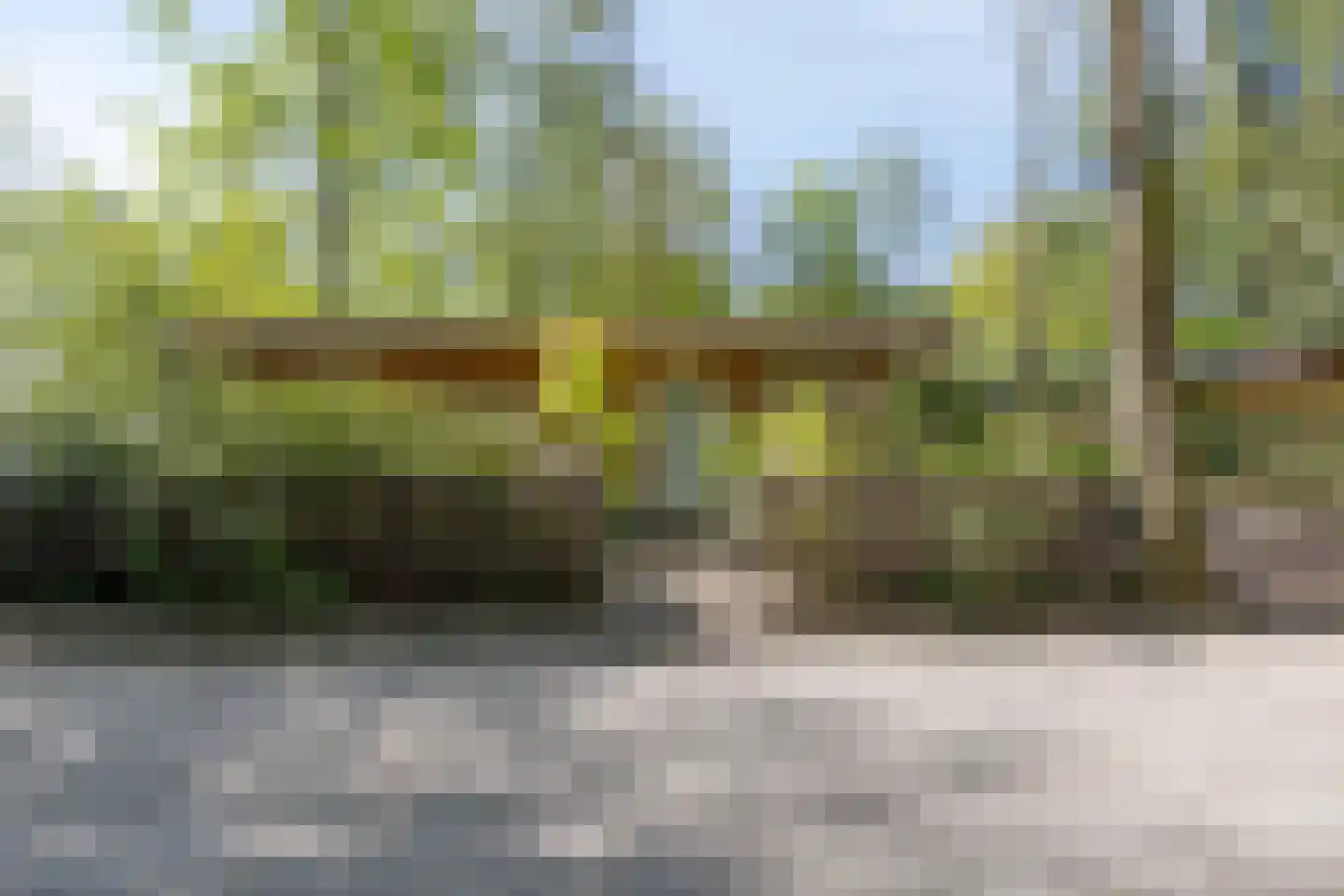 De Stille Wille 115 Oost West en Middelbeers thumbnail 7