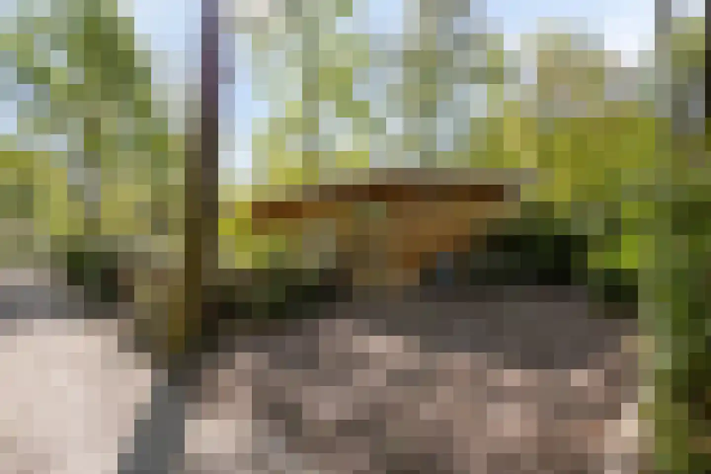 De Stille Wille 115 Oost West en Middelbeers thumbnail 8
