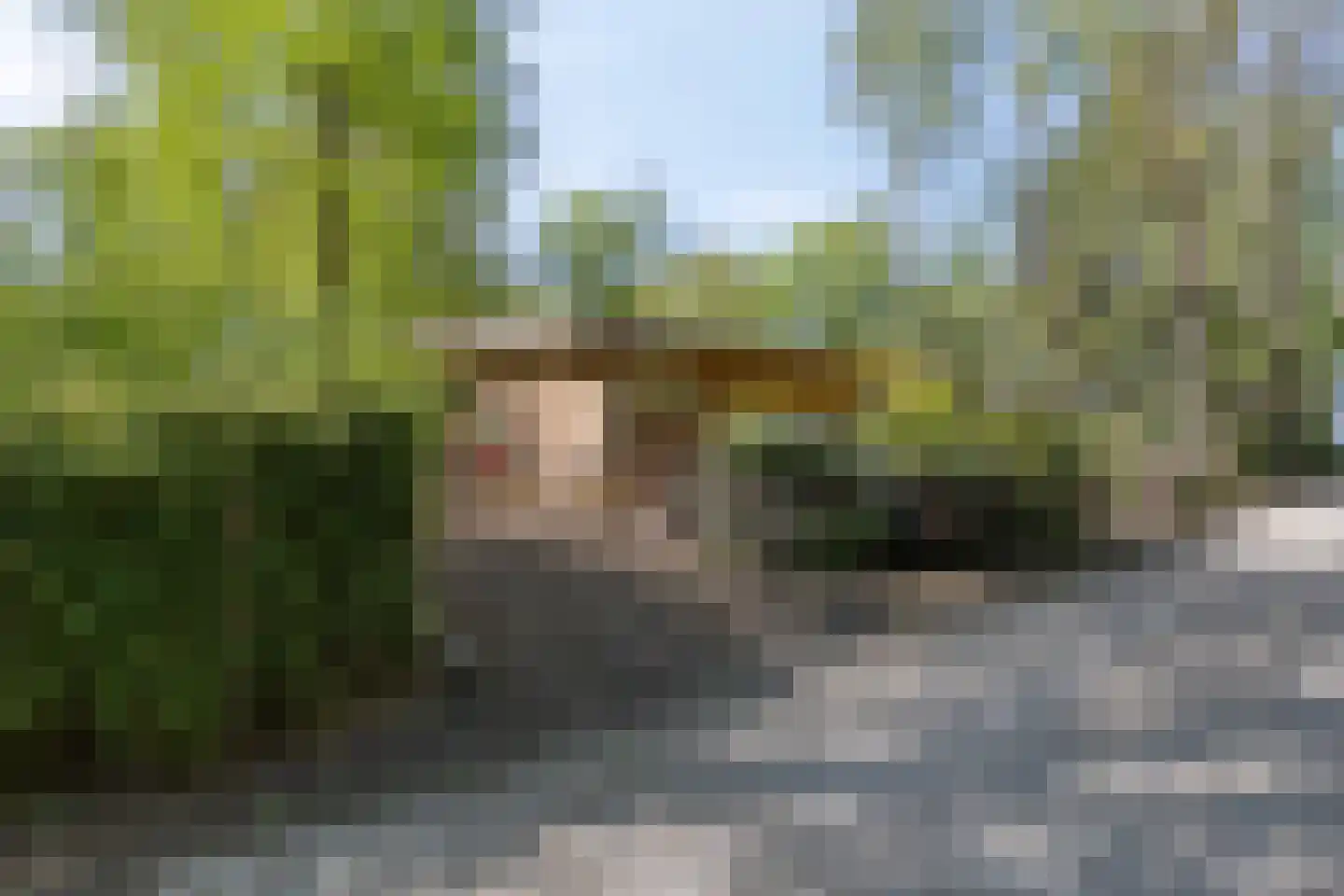 De Stille Wille 115 Oost West en Middelbeers thumbnail 8