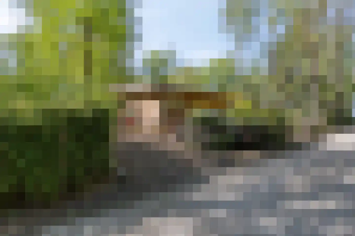 De Stille Wille 115 Oost West en Middelbeers thumbnail 9