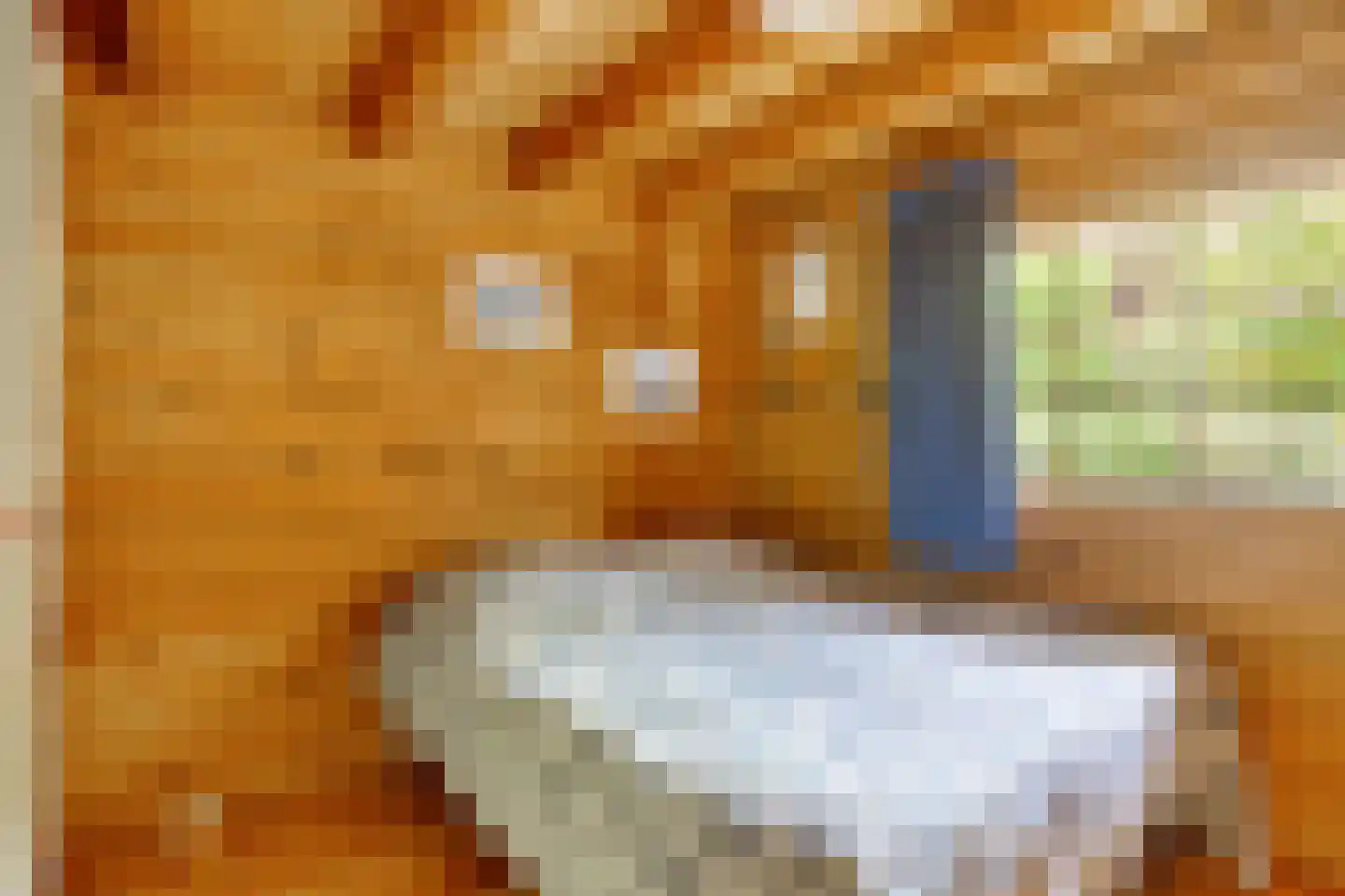De Stille Wille 132 Oost West en Middelbeers thumbnail 12