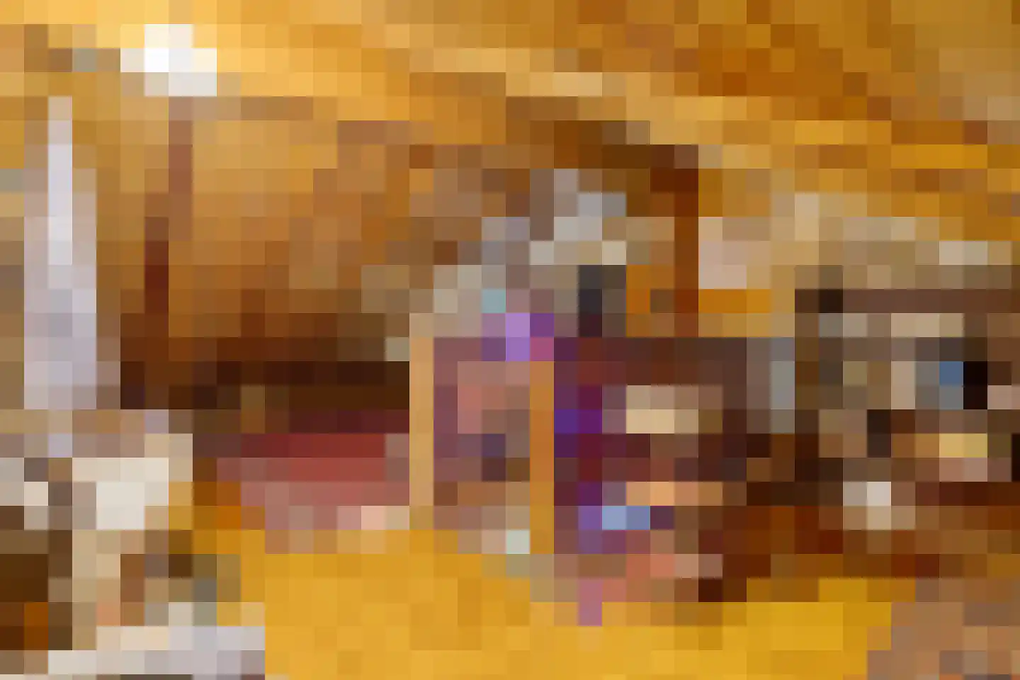 De Stille Wille 132 Oost West en Middelbeers thumbnail 16