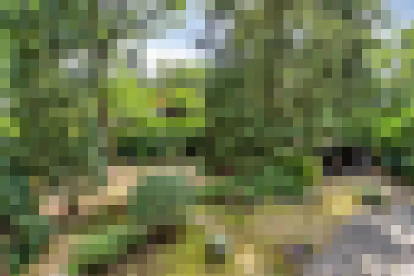 De Stille Wille 132 Oost West en Middelbeers thumbnail 20