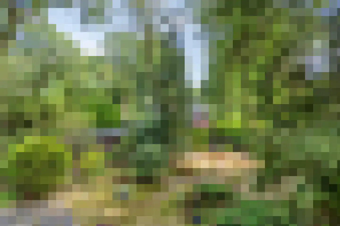 De Stille Wille 132 Oost West en Middelbeers thumbnail 21