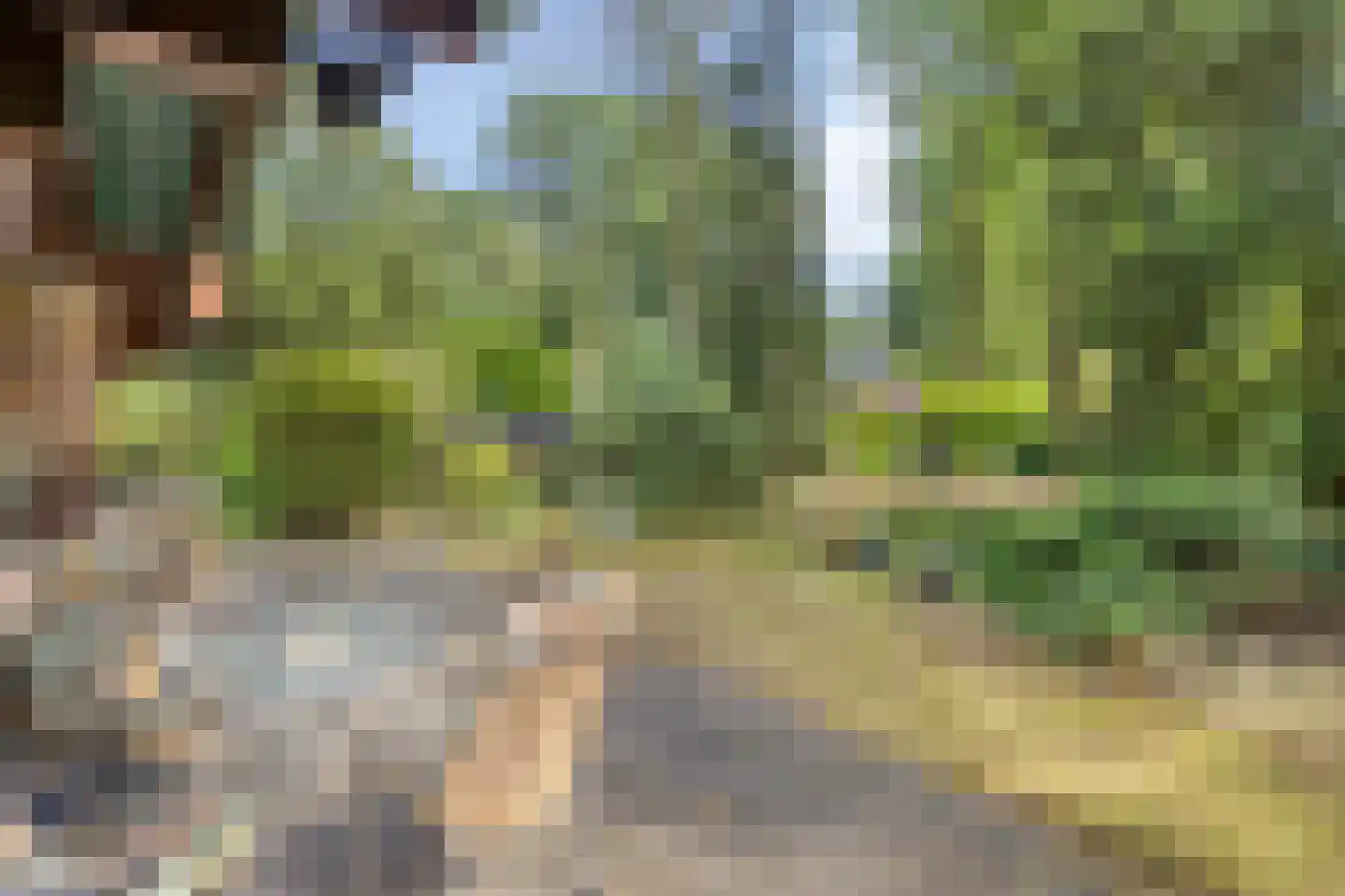 De Stille Wille 132 Oost West en Middelbeers thumbnail 23
