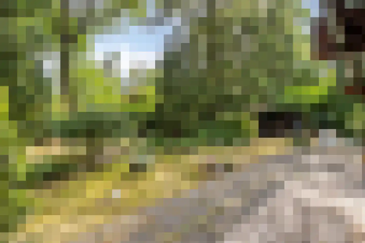 De Stille Wille 132 Oost West en Middelbeers thumbnail 24