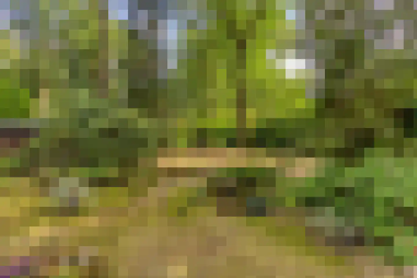 De Stille Wille 132 Oost West en Middelbeers thumbnail 25