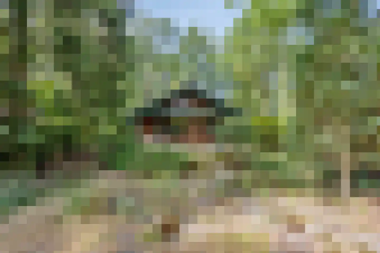 De Stille Wille 132 Oost West en Middelbeers thumbnail 26