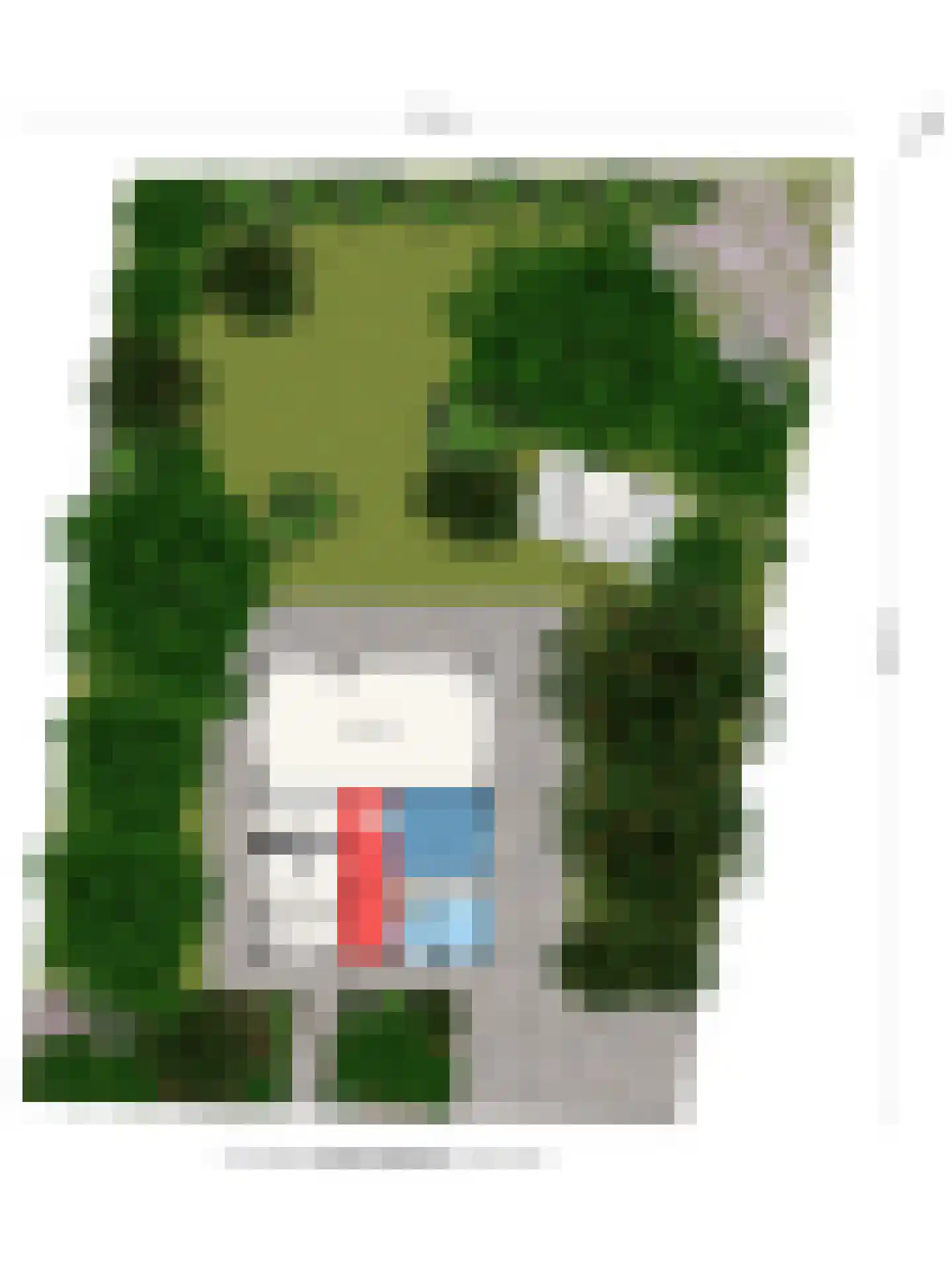 De Stille Wille 132 Oost West en Middelbeers thumbnail 31