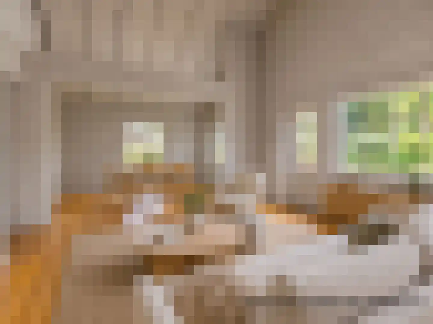 De Stille Wille 132 Oost West en Middelbeers thumbnail 4