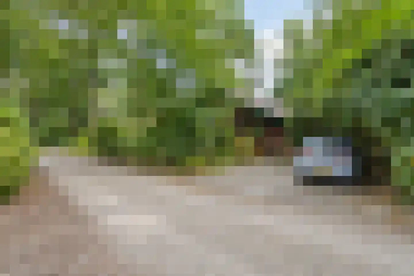 De Stille Wille 132 Oost West en Middelbeers thumbnail 7