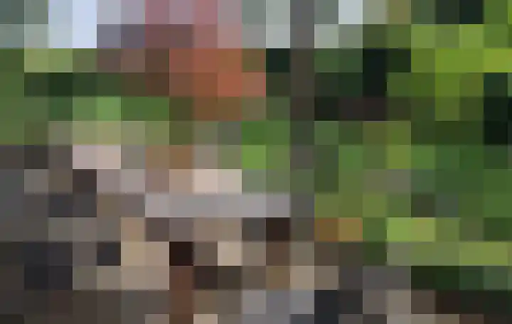 De Stille Wille 162 Oost West en Middelbeers thumbnail 10