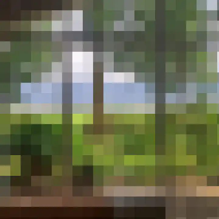 De Stille Wille 162 Oost West en Middelbeers thumbnail 7