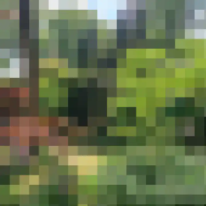 De Stille Wille 162 Oost West en Middelbeers thumbnail 8