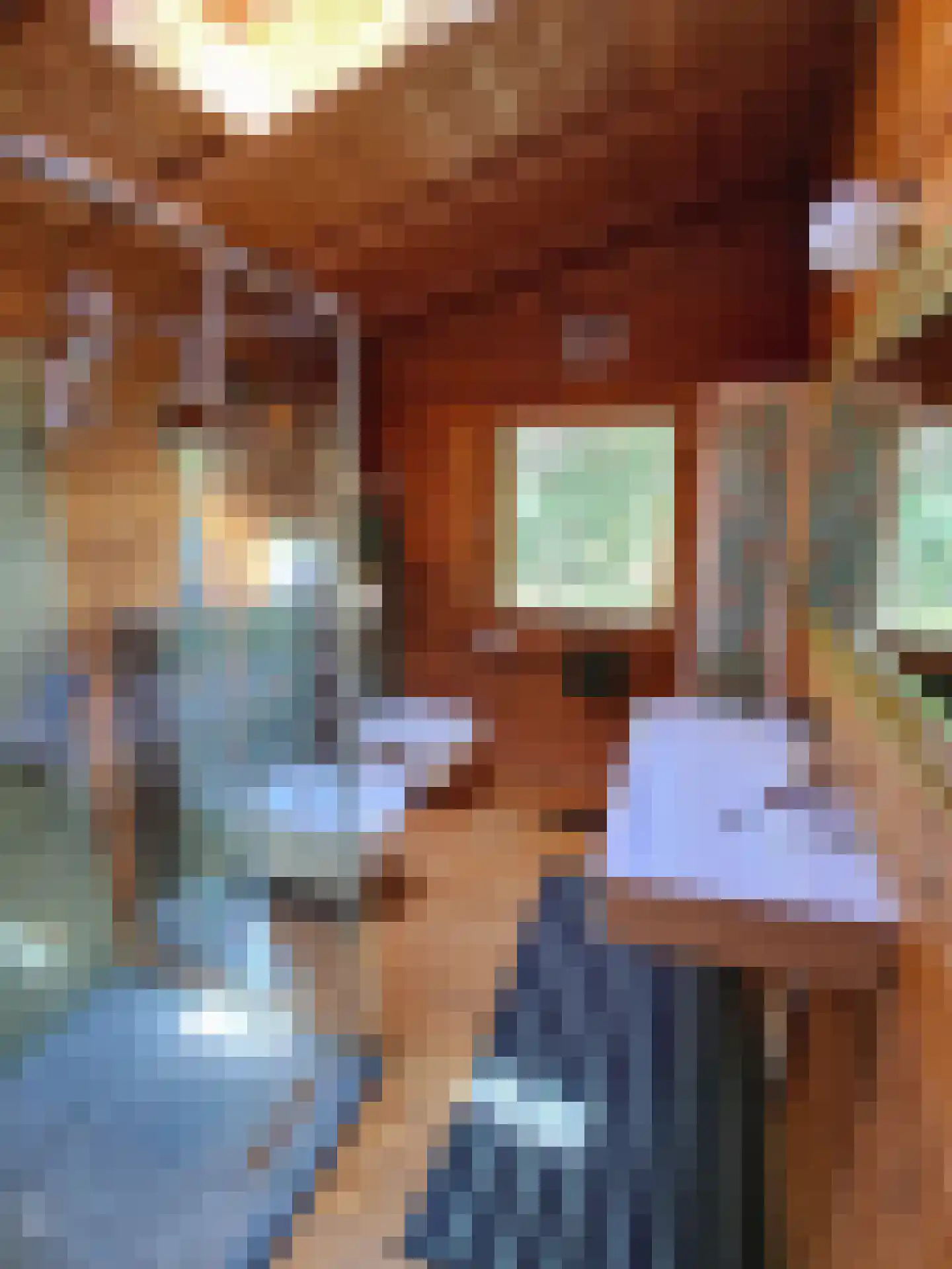 De Stille Wille 167 Oost West en Middelbeers thumbnail 16