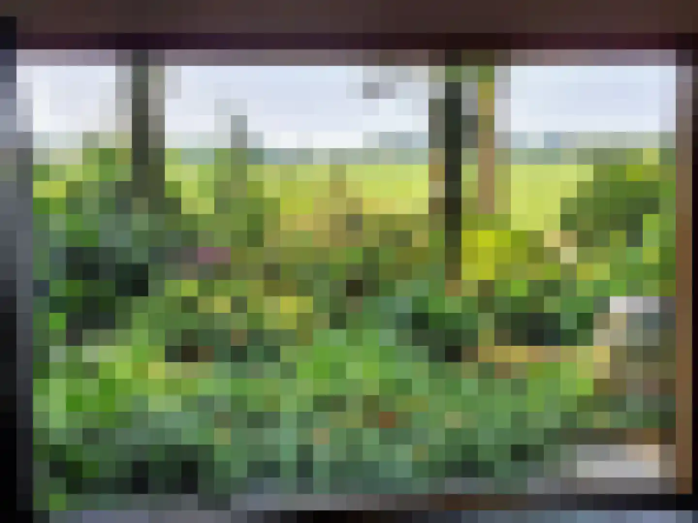 De Stille Wille 167 Oost West en Middelbeers thumbnail 19
