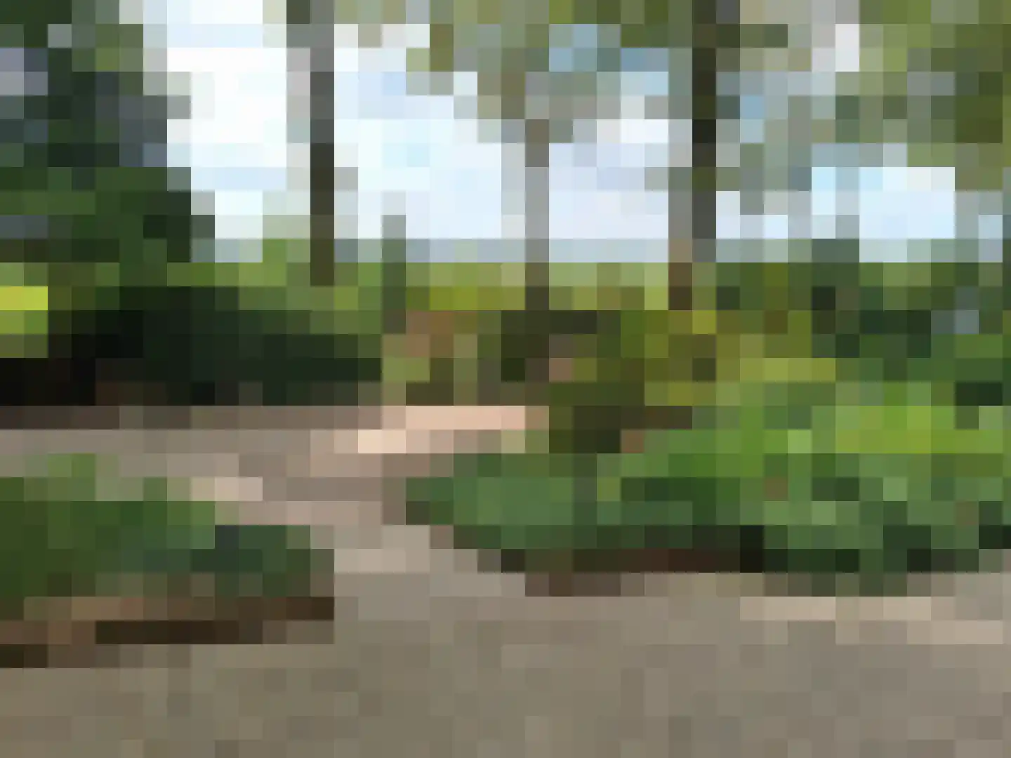 De Stille Wille 167 Oost West en Middelbeers thumbnail 23