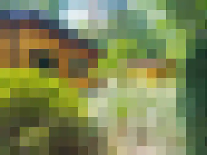 De Stille Wille 167 Oost West en Middelbeers thumbnail 25
