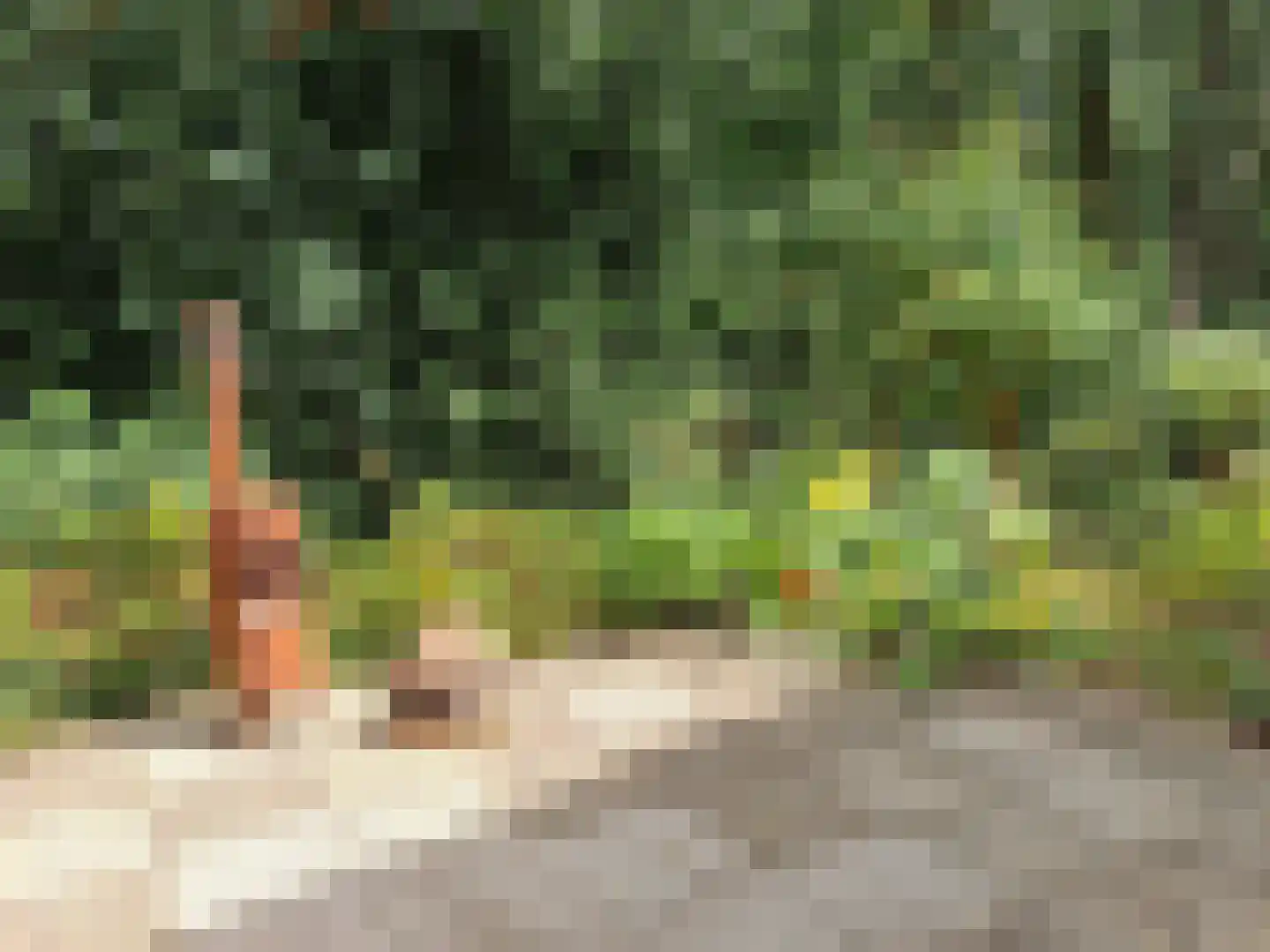 De Stille Wille 167 Oost West en Middelbeers thumbnail 25