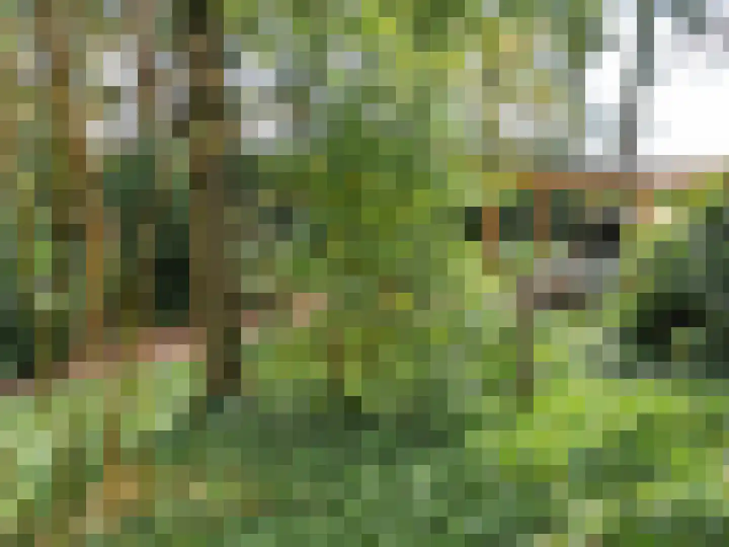 De Stille Wille 167 Oost West en Middelbeers thumbnail 26