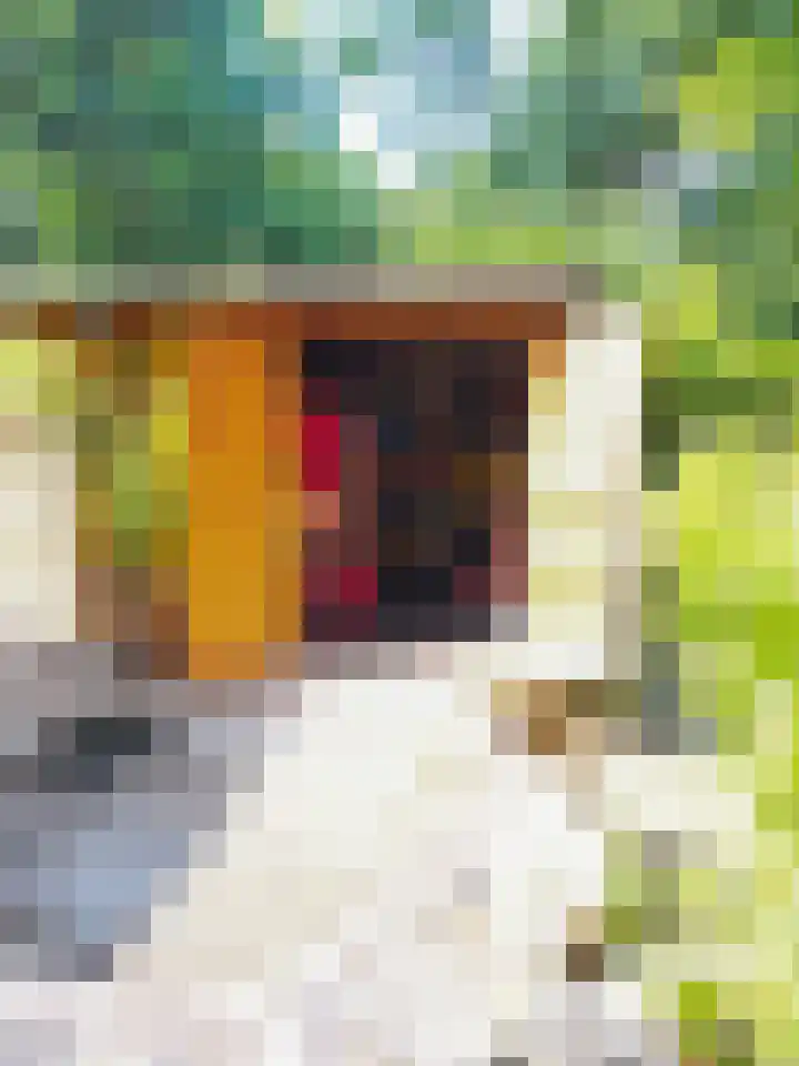 De Stille Wille 167 Oost West en Middelbeers thumbnail 26