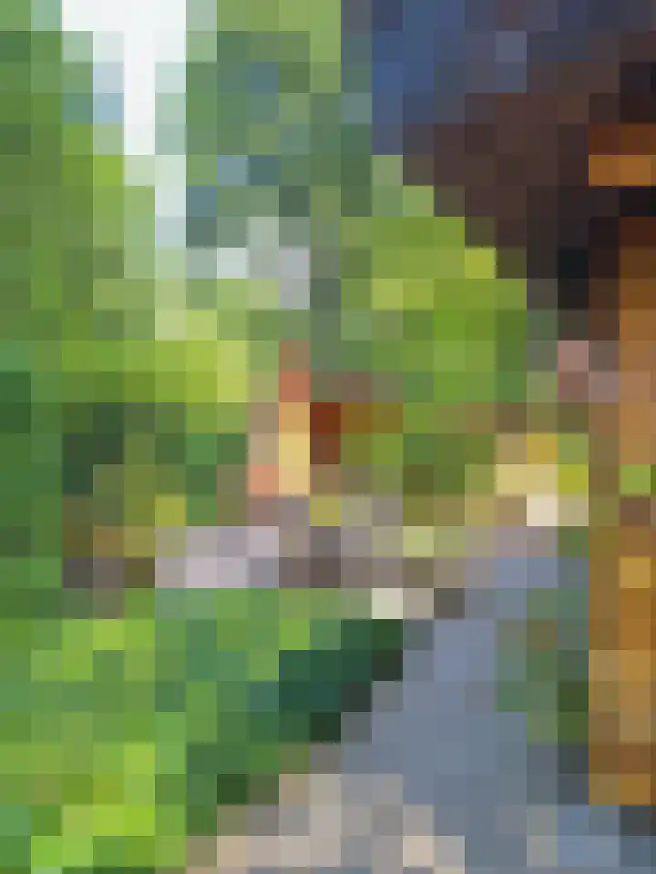 De Stille Wille 167 Oost West en Middelbeers thumbnail 27