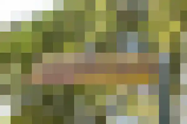 De Stille Wille 167 Oost West en Middelbeers thumbnail 33