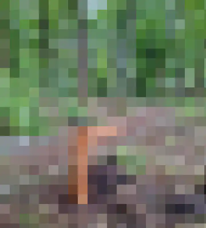 De Stille Wille 167 Oost West en Middelbeers thumbnail 34