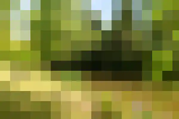 De Stille Wille 167 Oost West en Middelbeers thumbnail 37