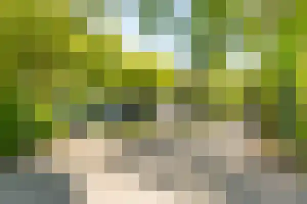 De Stille Wille 167 Oost West en Middelbeers thumbnail 38