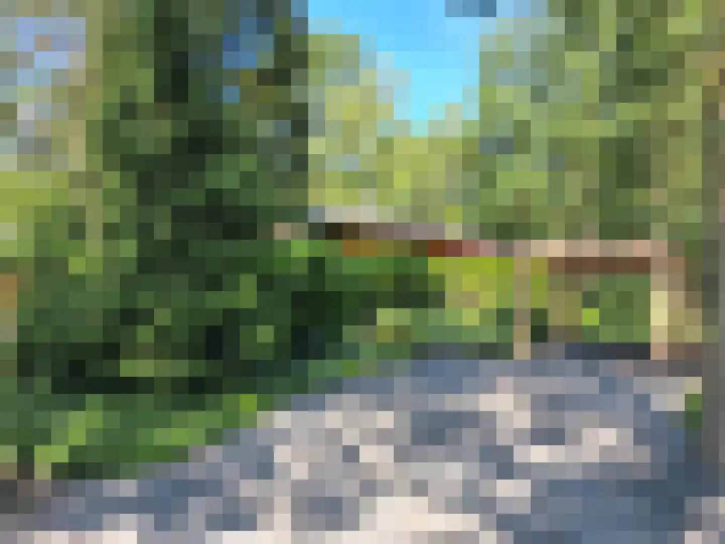 De Stille Wille 167 Oost West en Middelbeers thumbnail 5