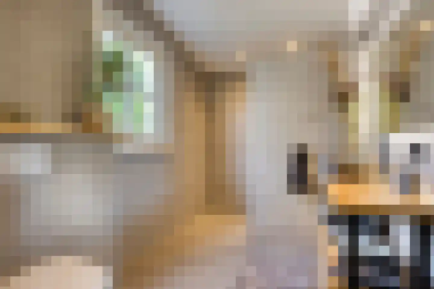De Stille Wille 202 Oost West en Middelbeers thumbnail 20