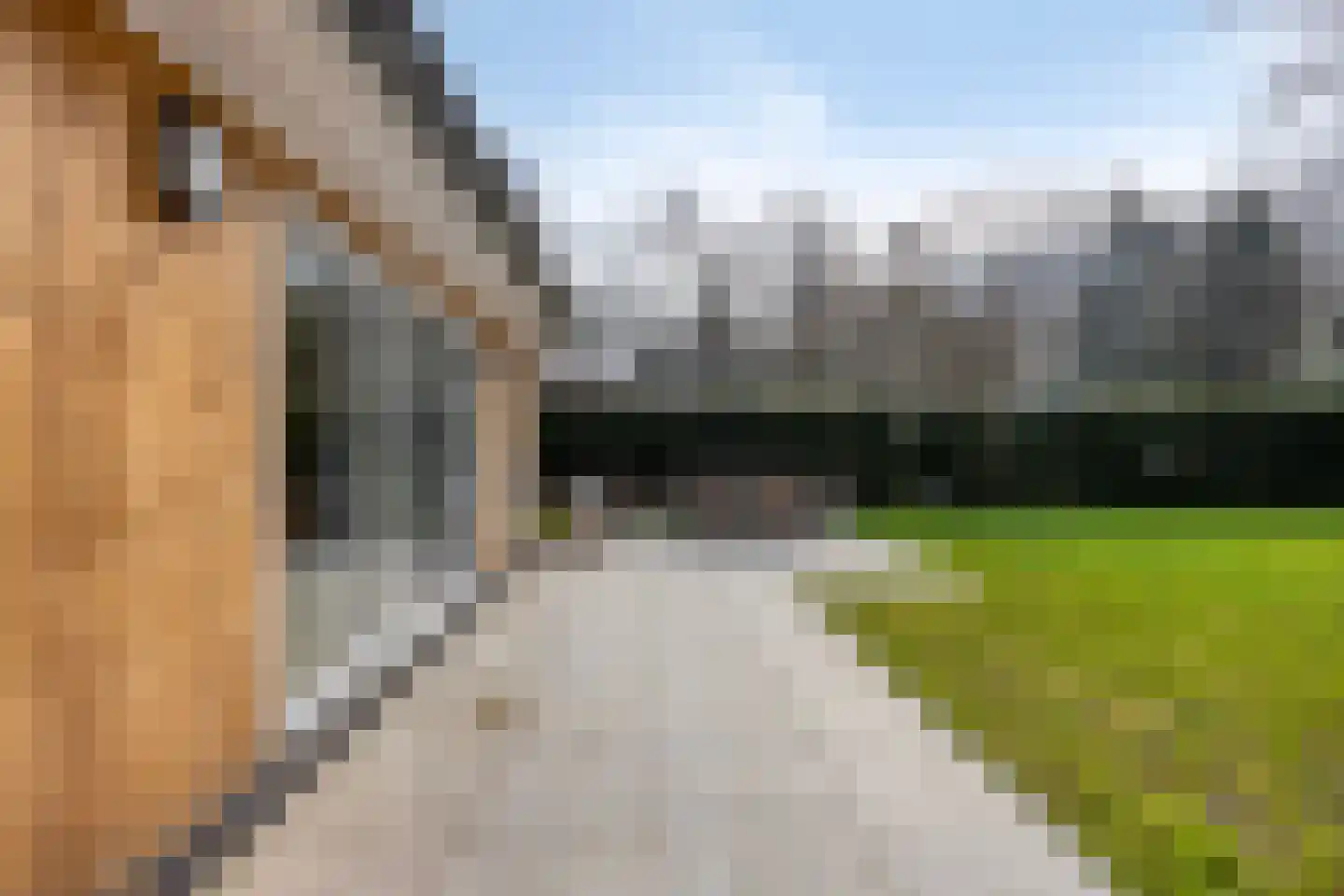 De Stille Wille 202 Oost West en Middelbeers thumbnail 26