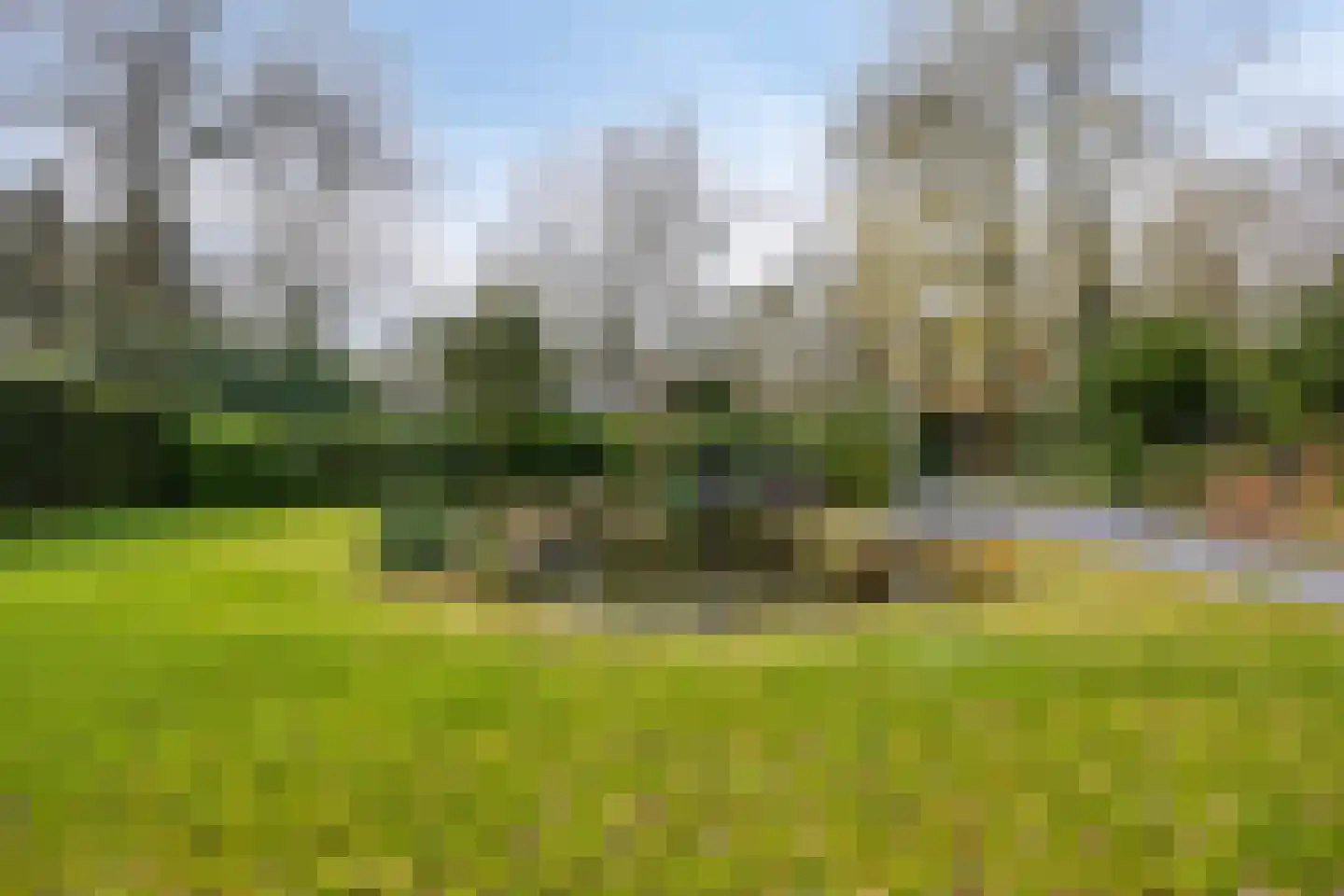 De Stille Wille 202 Oost West en Middelbeers thumbnail 28