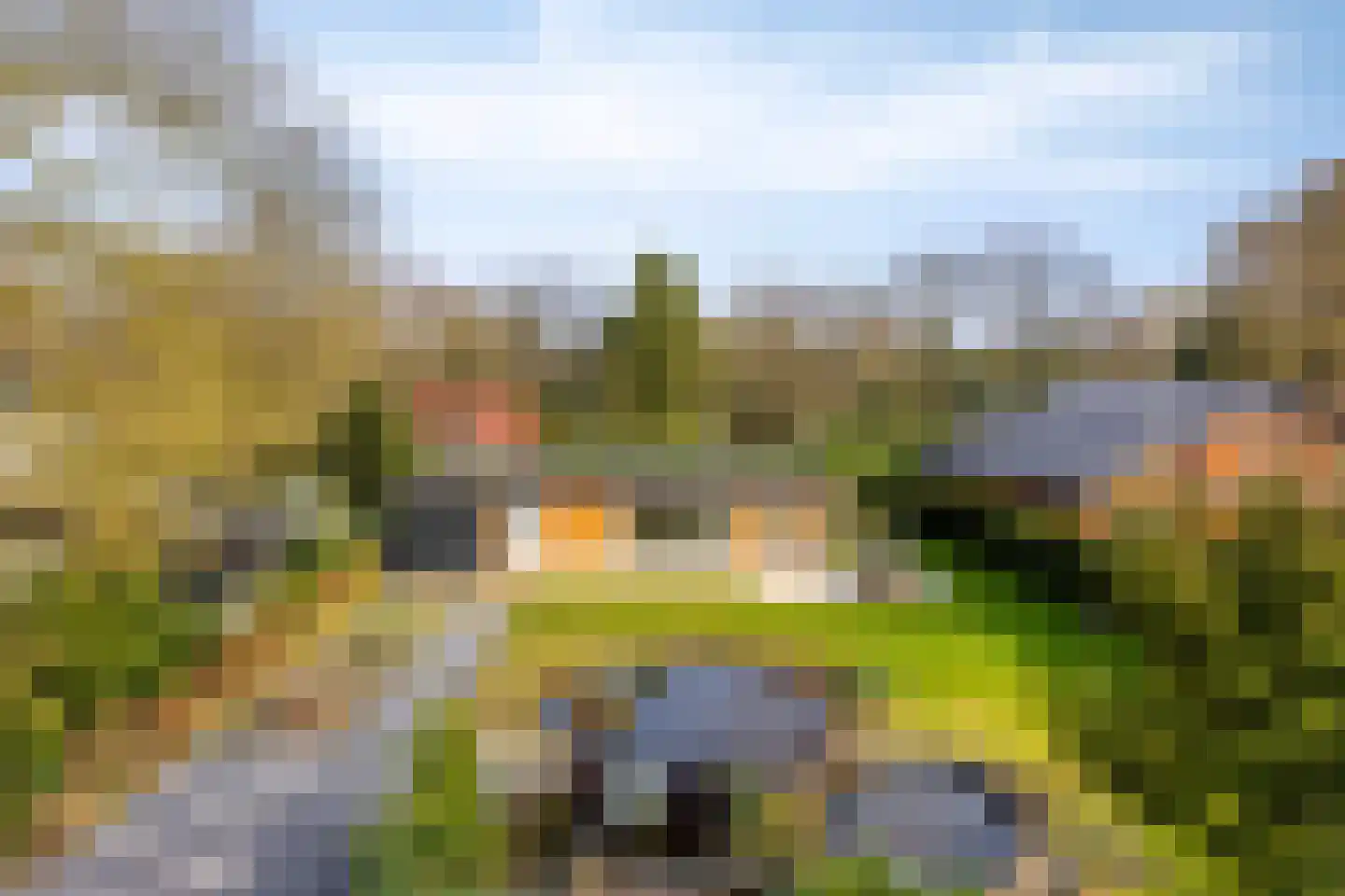 De Stille Wille 202 Oost West en Middelbeers thumbnail 33