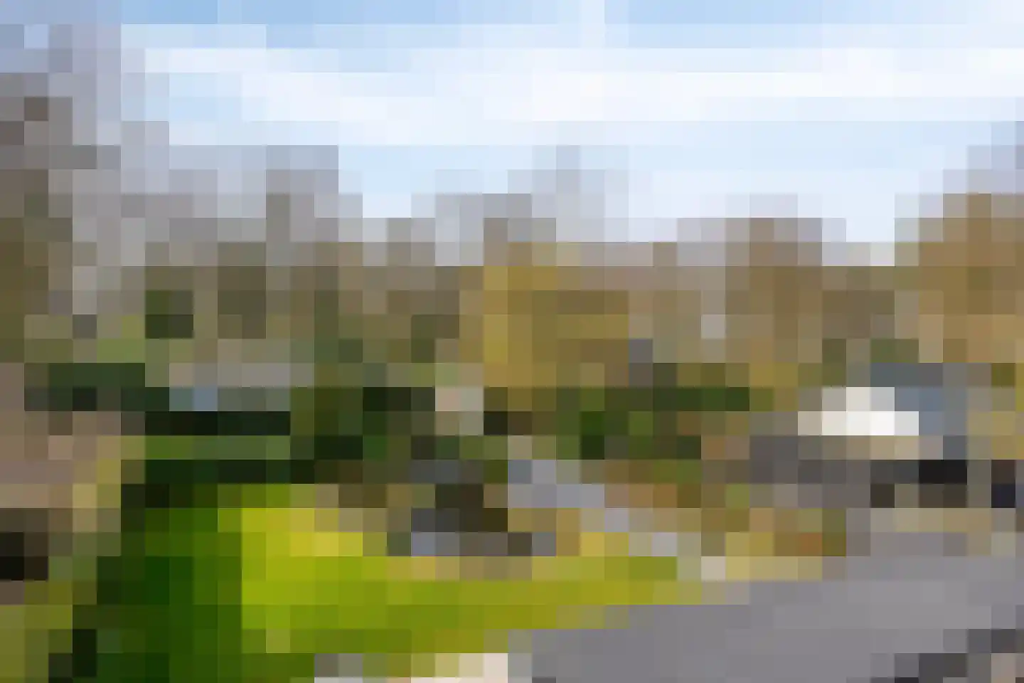 De Stille Wille 202 Oost West en Middelbeers thumbnail 34