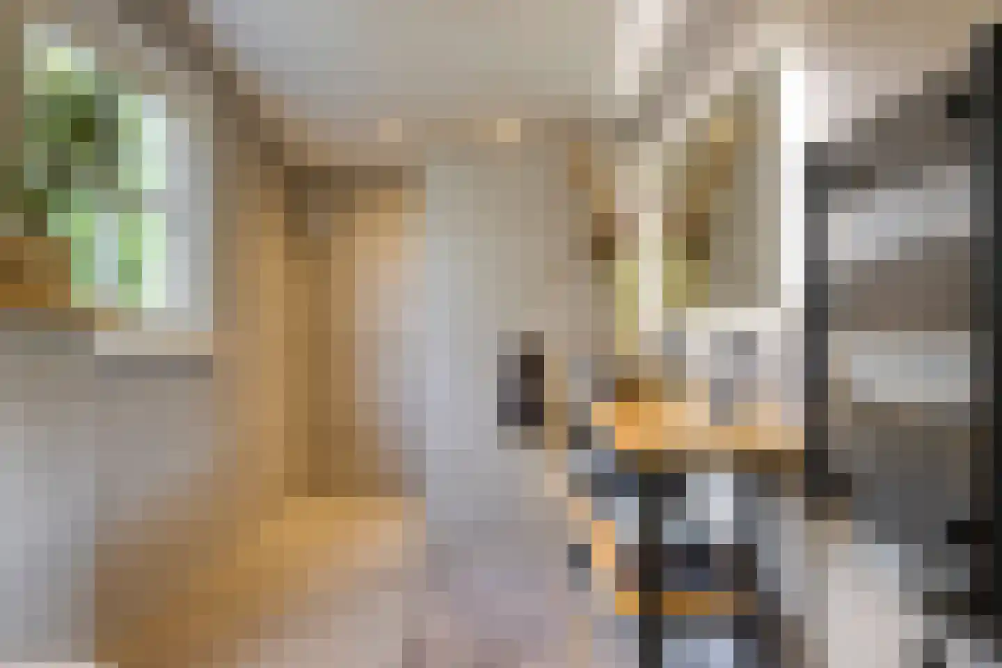De Stille Wille 202 Oost West en Middelbeers thumbnail 5