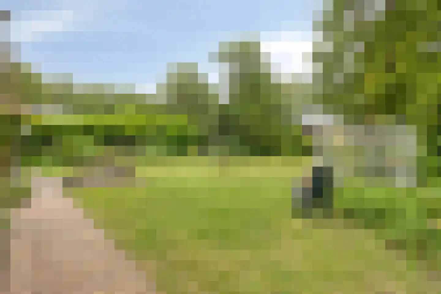 De Stille Wille 209 Oost West en Middelbeers thumbnail 28