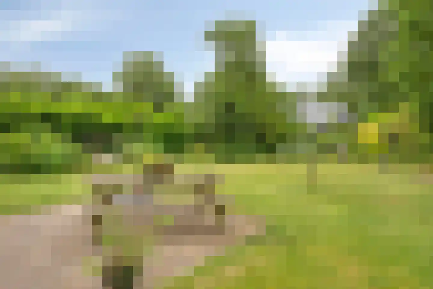 De Stille Wille 209 Oost West en Middelbeers thumbnail 29