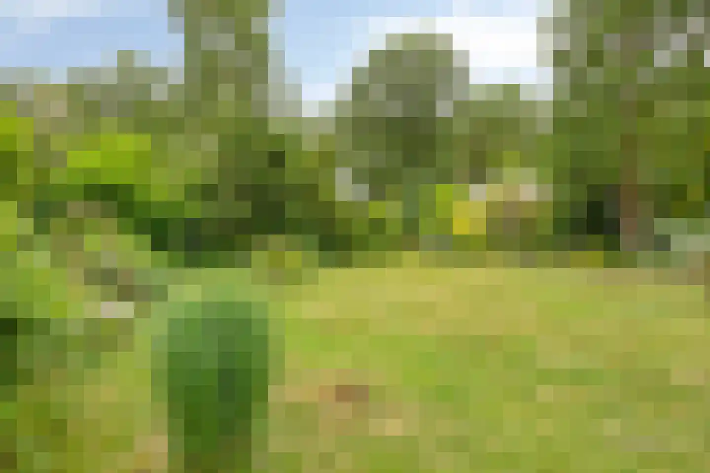 De Stille Wille 209 Oost West en Middelbeers thumbnail 30