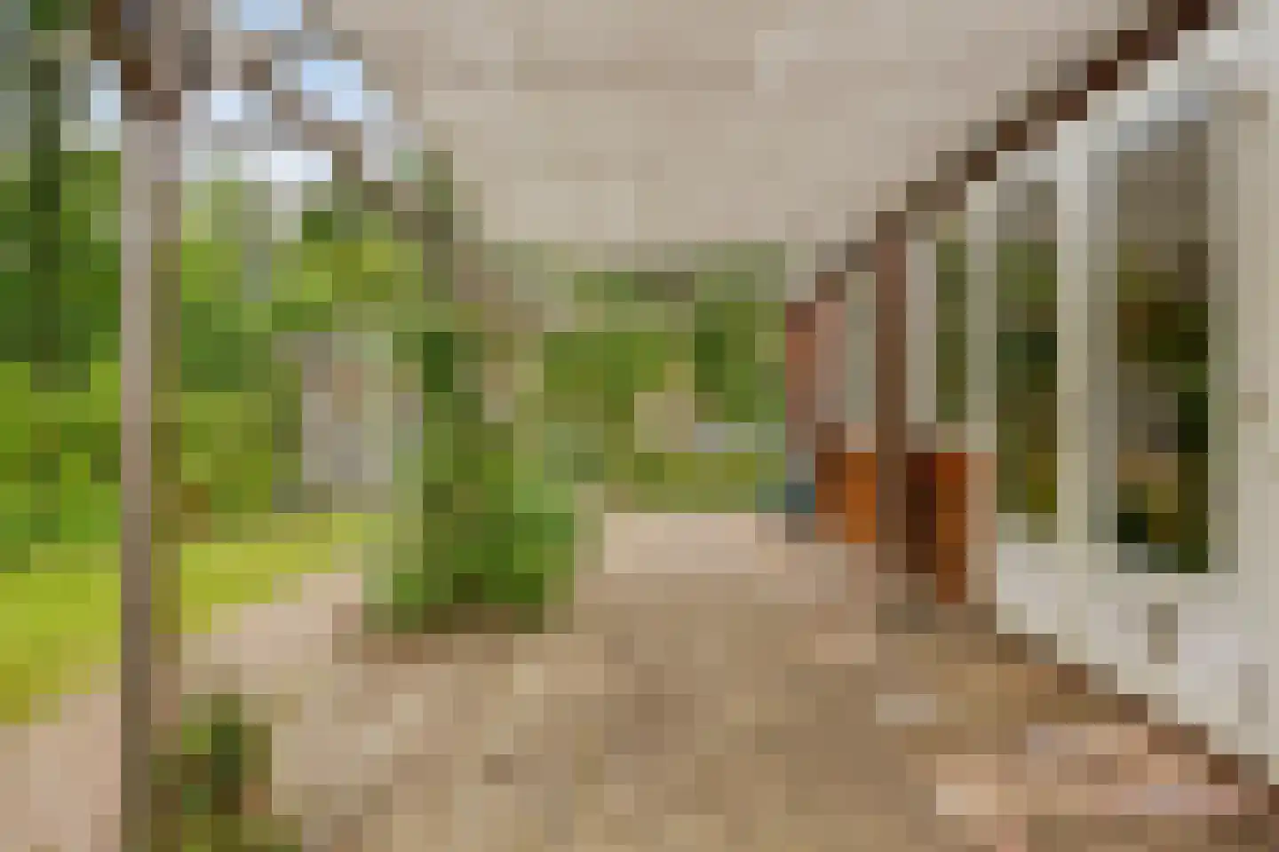 De Stille Wille 209 Oost West en Middelbeers thumbnail 33