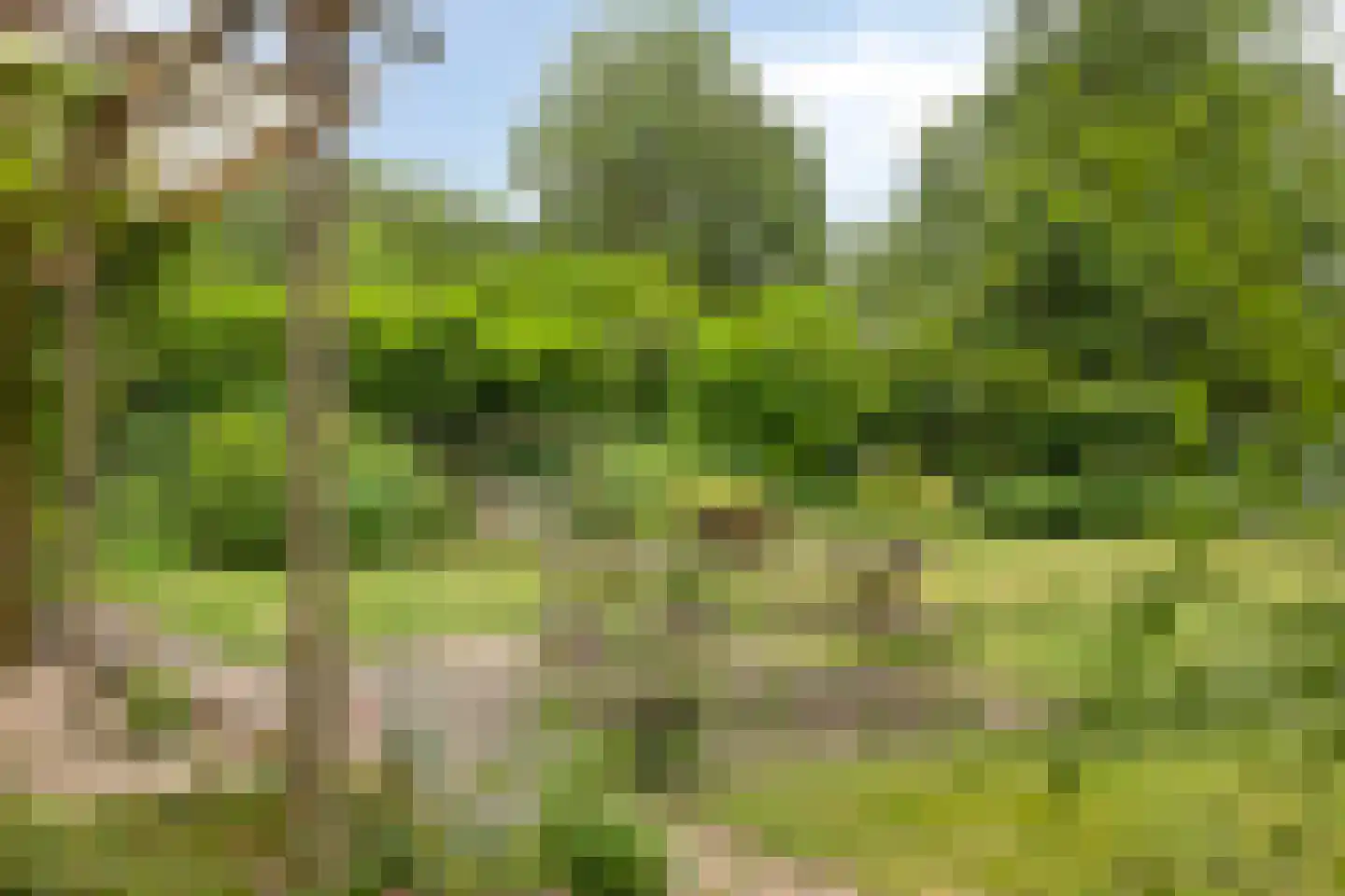 De Stille Wille 209 Oost West en Middelbeers thumbnail 36