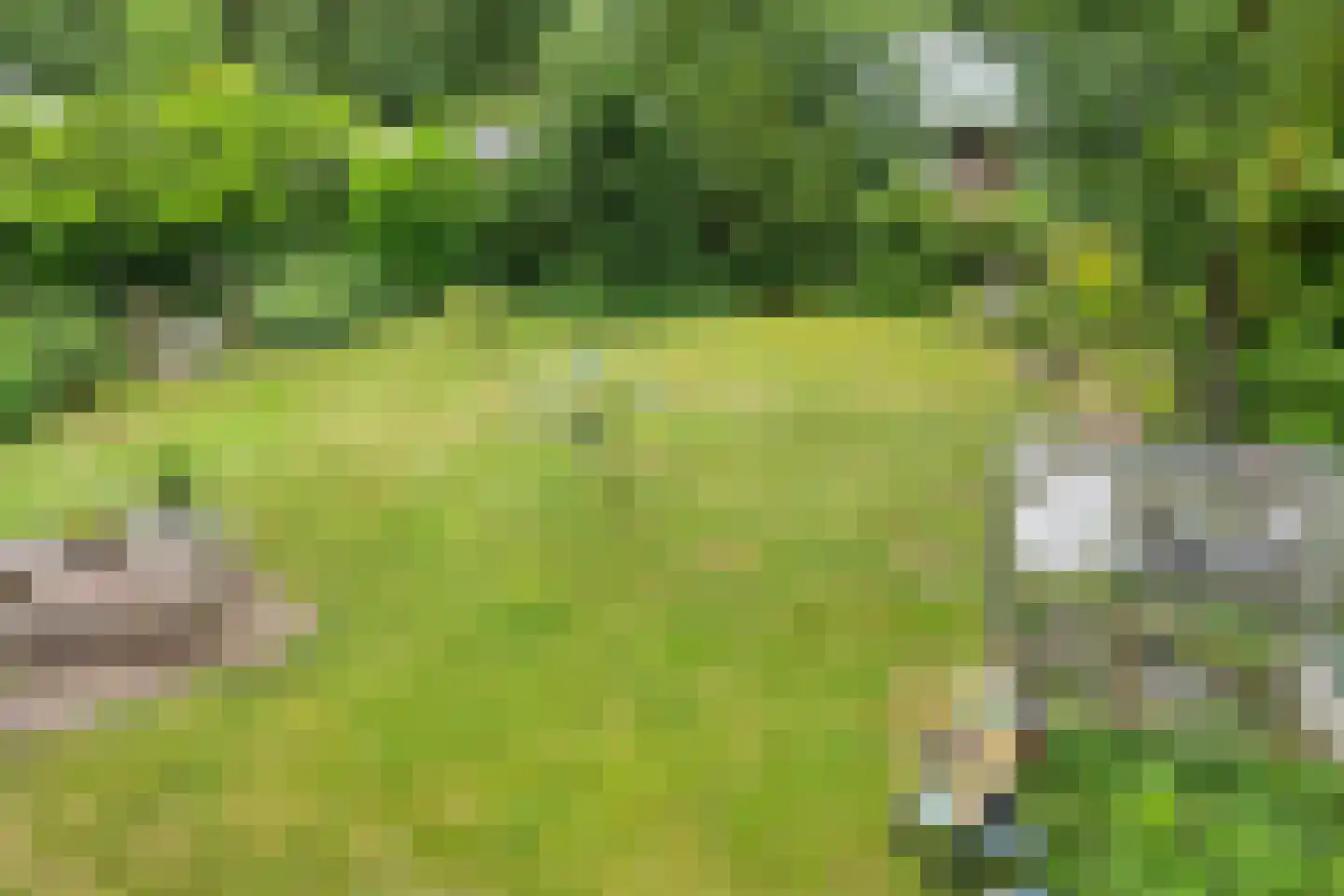 De Stille Wille 209 Oost West en Middelbeers thumbnail 37