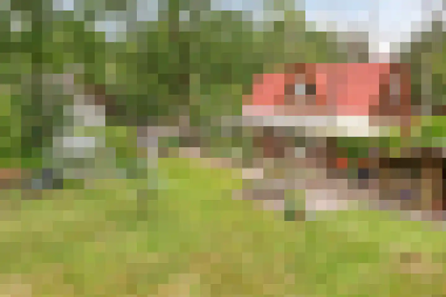 De Stille Wille 209 Oost West en Middelbeers thumbnail 38