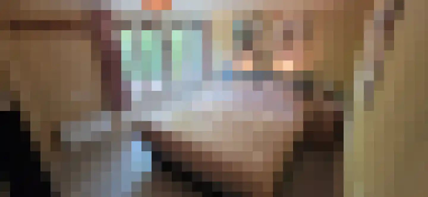 De Stille Wille 224 Oost West en Middelbeers thumbnail 20