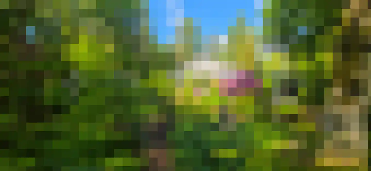 De Stille Wille 224 Oost West en Middelbeers thumbnail 24