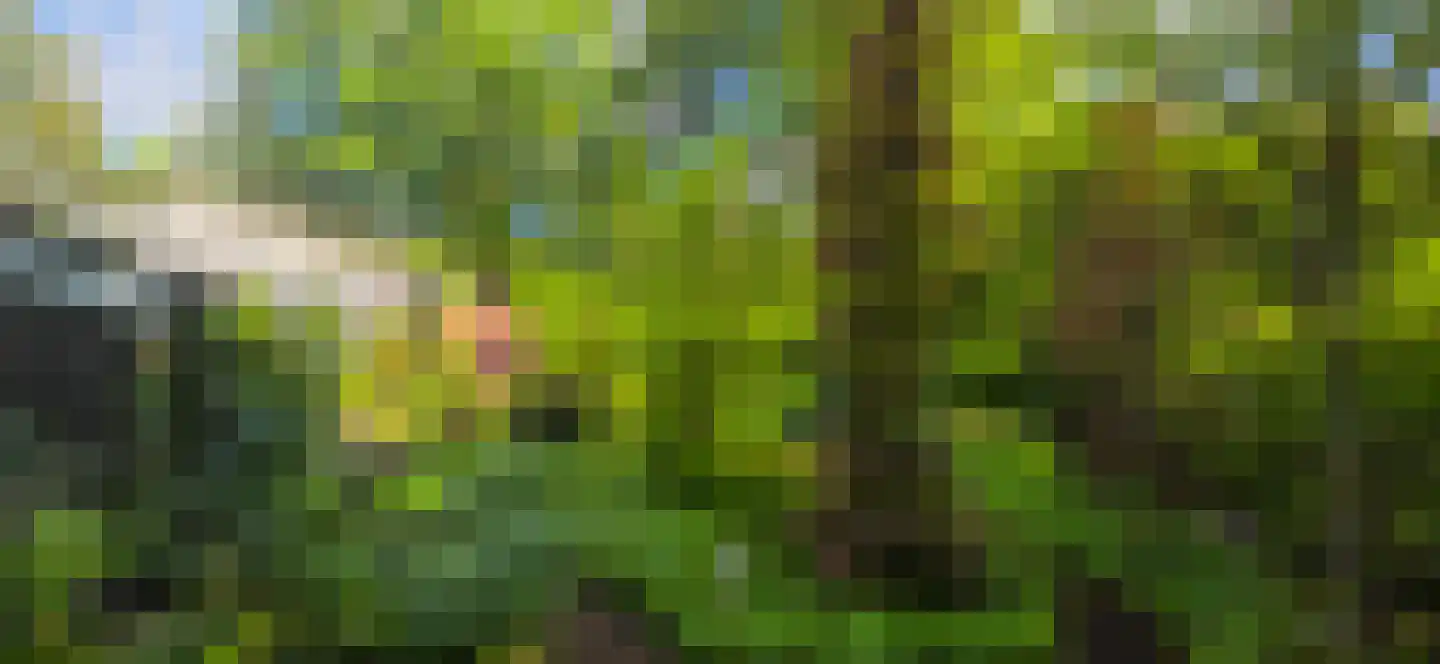 De Stille Wille 224 Oost West en Middelbeers thumbnail 25