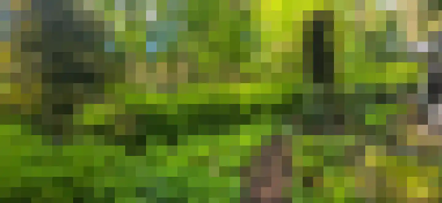 De Stille Wille 224 Oost West en Middelbeers thumbnail 26