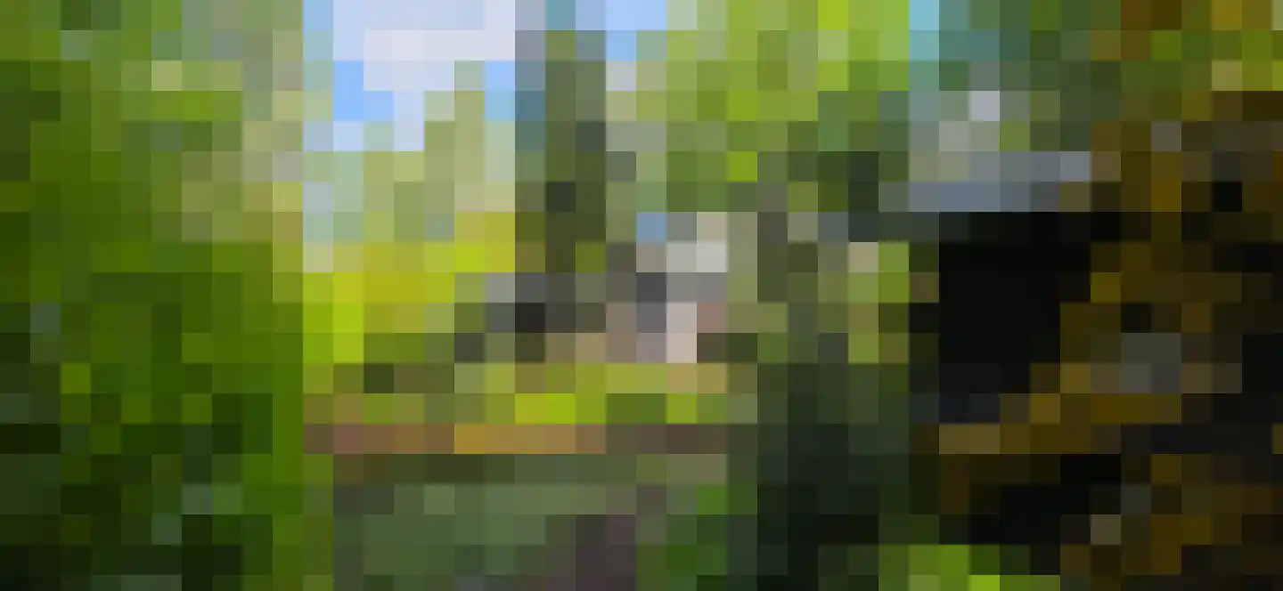 De Stille Wille 224 Oost West en Middelbeers thumbnail 27