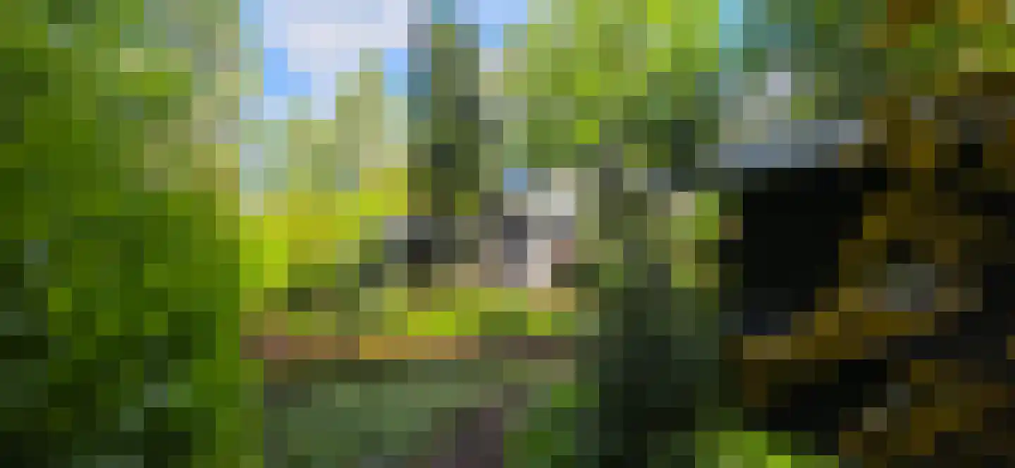 De Stille Wille 224 Oost West en Middelbeers thumbnail 27